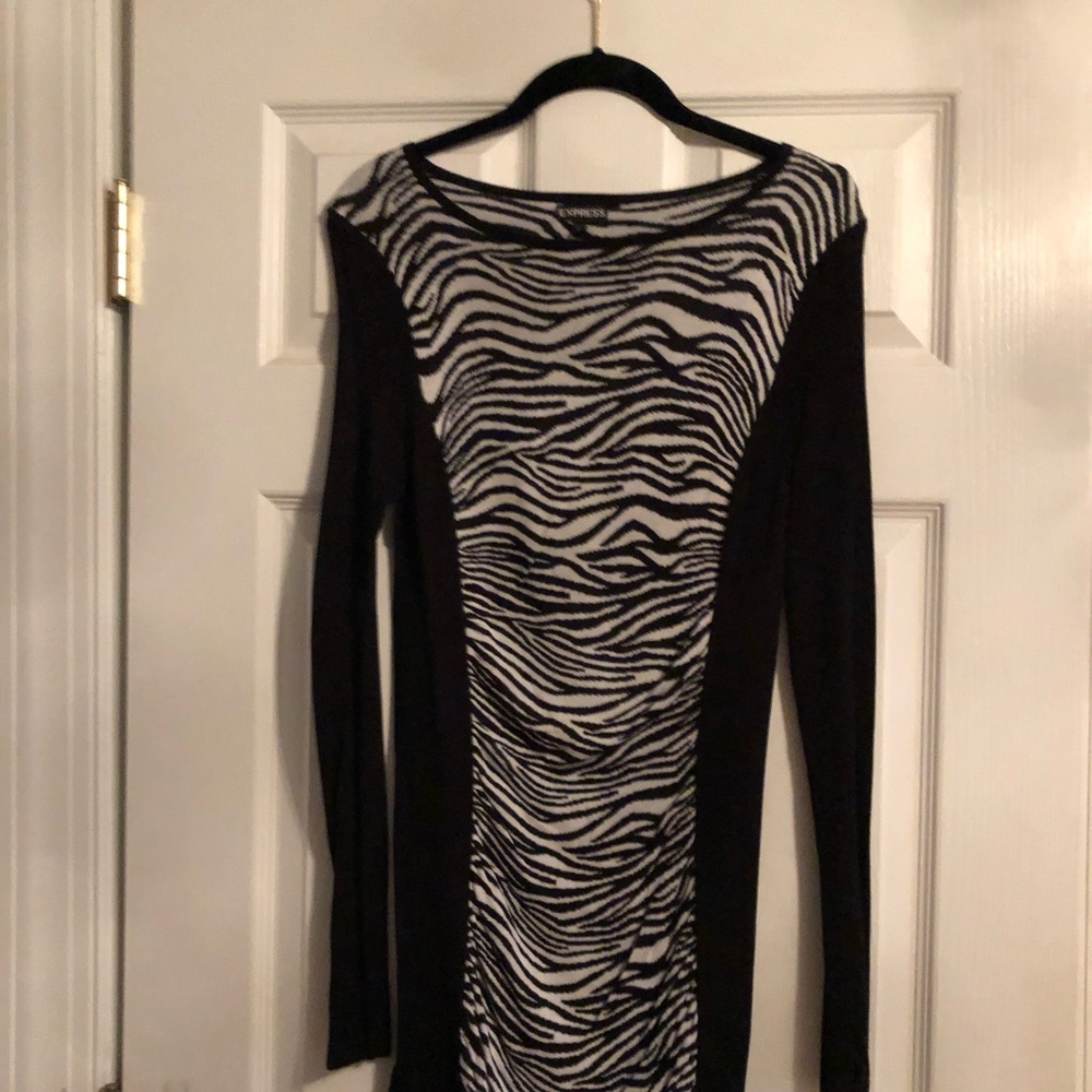 Small Express Sweater Dress